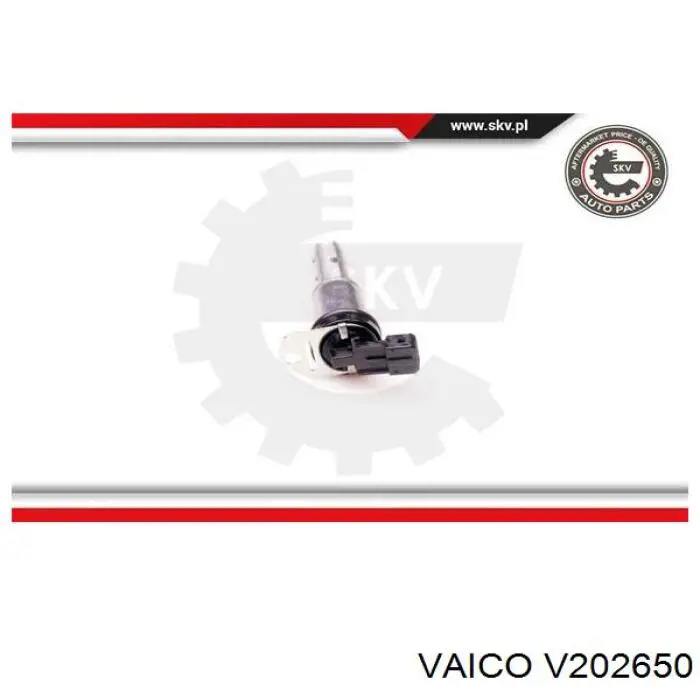 Válvula control, ajuste de levas BMW 5 E61