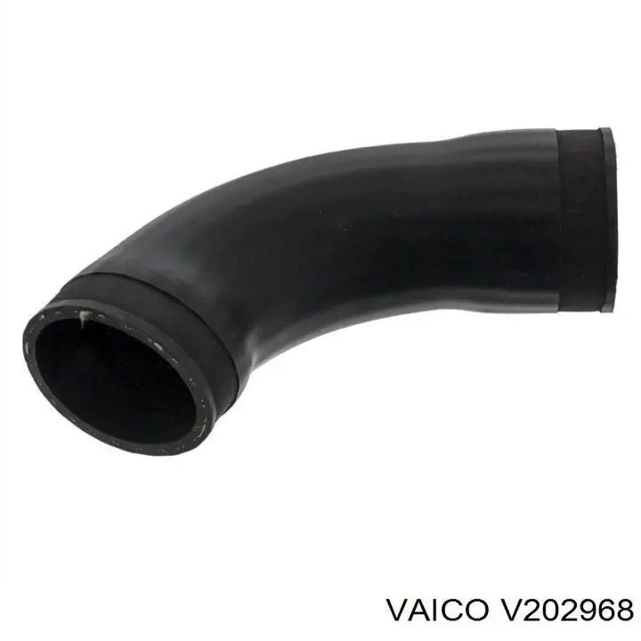Tubo De Aire BMW 3 (E46)
