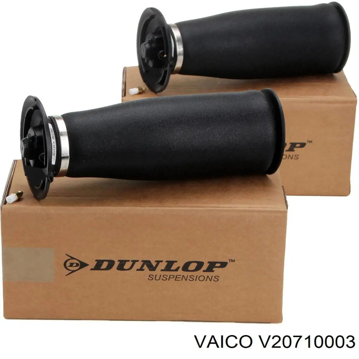 V20710003 VEMO/Vaico