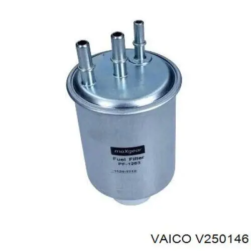 Filtro combustible Jaguar X-type CF1