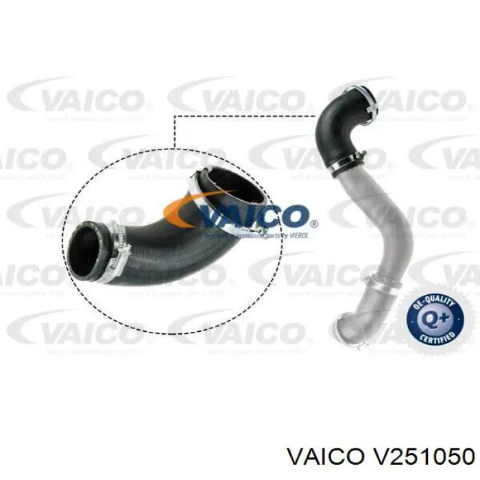 V25-1050 VEMO/Vaico tubo flexible de aire de sobrealimentación superior derecho