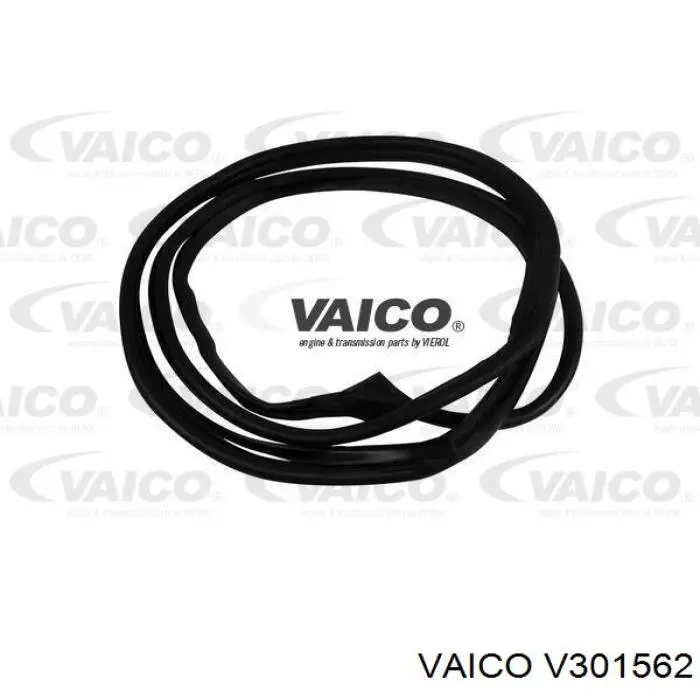 V301562 VEMO/Vaico