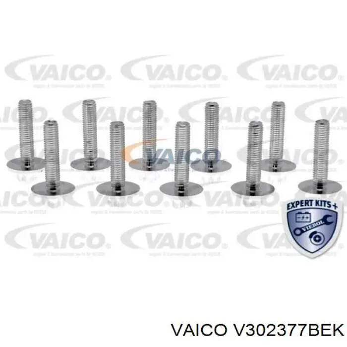 Kit de servicio para cambio de aceite de transmisión automática Febi 188328 precio, desde 252,40 EUR