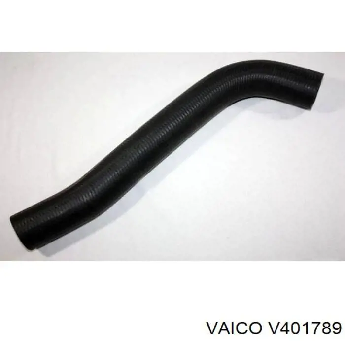 Comprar V401789 VEMO/Vaico Tubo del depósito al cuello de llenado