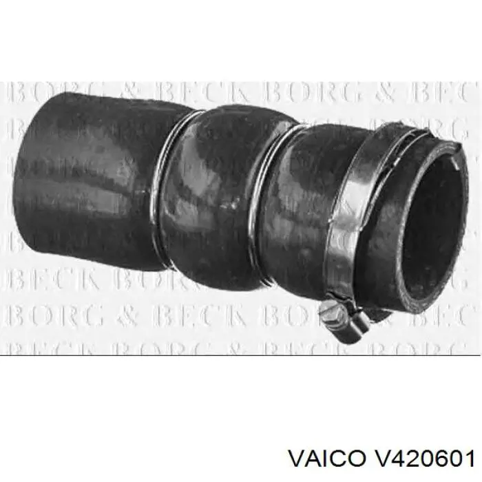 Comprar 00000382NL Peugeot/Citroen Tubo intercooler