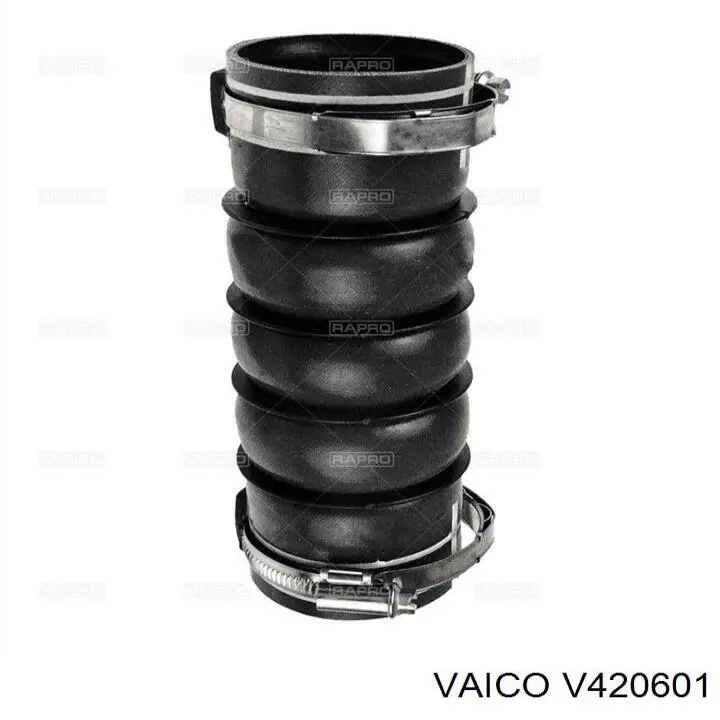 Comprar 0382NL Peugeot/Citroen Tubo intercooler