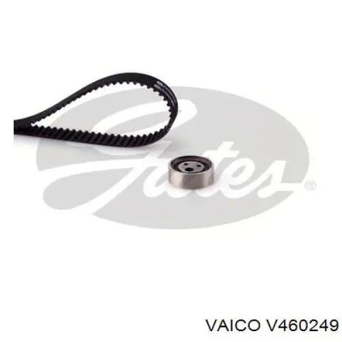 Kit de distribución 8671019663 Renault (RVI)