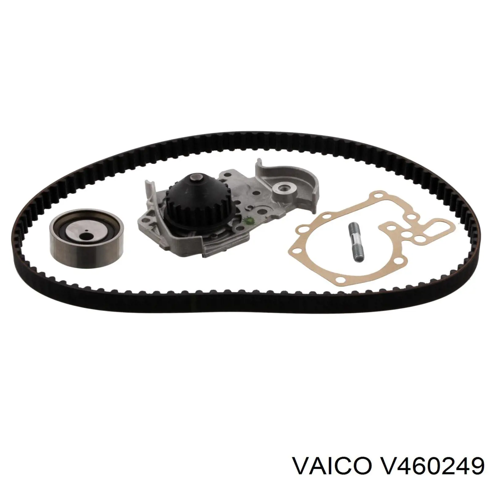 Comprar 8671019663 Renault (RVI) Kit de correa de distribución