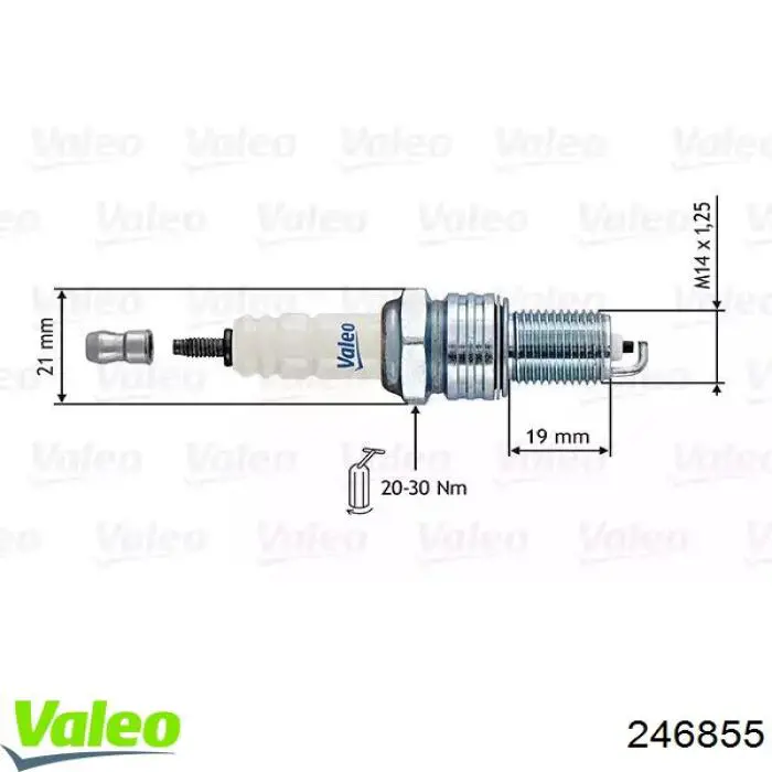 Renault Laguna 2 KG0, KG1