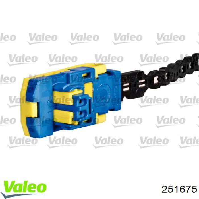  Renault (RVI) 255673295R