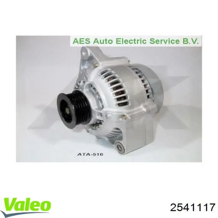 REC20151120 Recoficial Alternador de coche