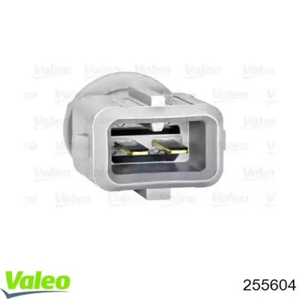 255604 VALEO sensor, temperatura del aire de admisión