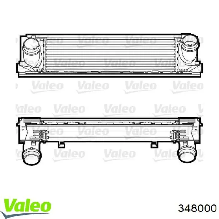 198487 Peugeot/Citroen Inyector de combustible