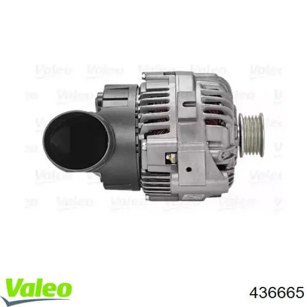 Alternador del motor VALEO 436665 precio, desde 171,03 EUR