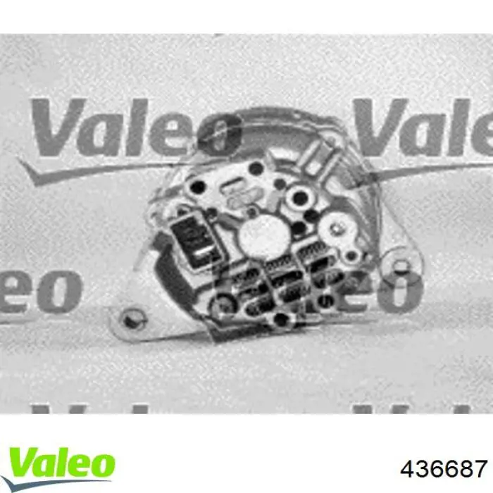 Alternador del motor VALEO 436687 precio, desde 58,08 EUR