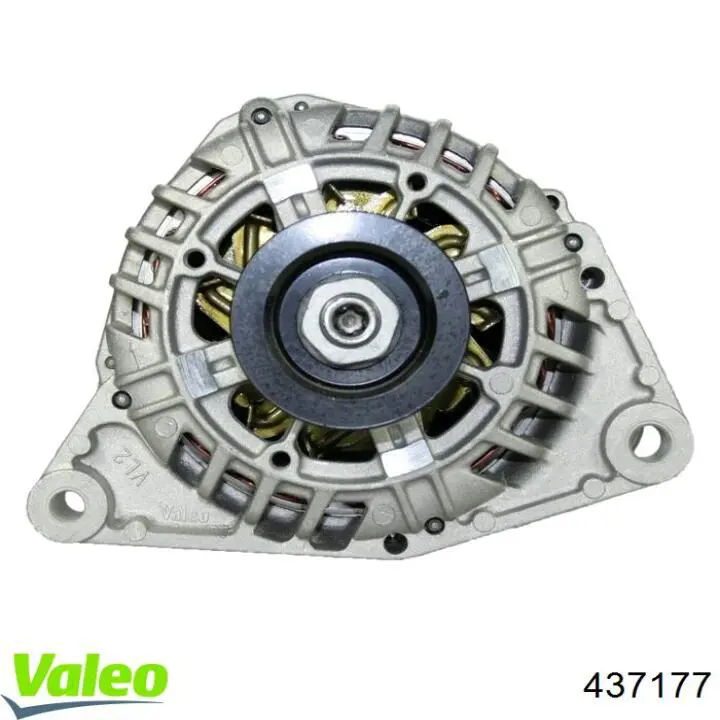 Comprar 7701051534 Renault (RVI) Dynamo