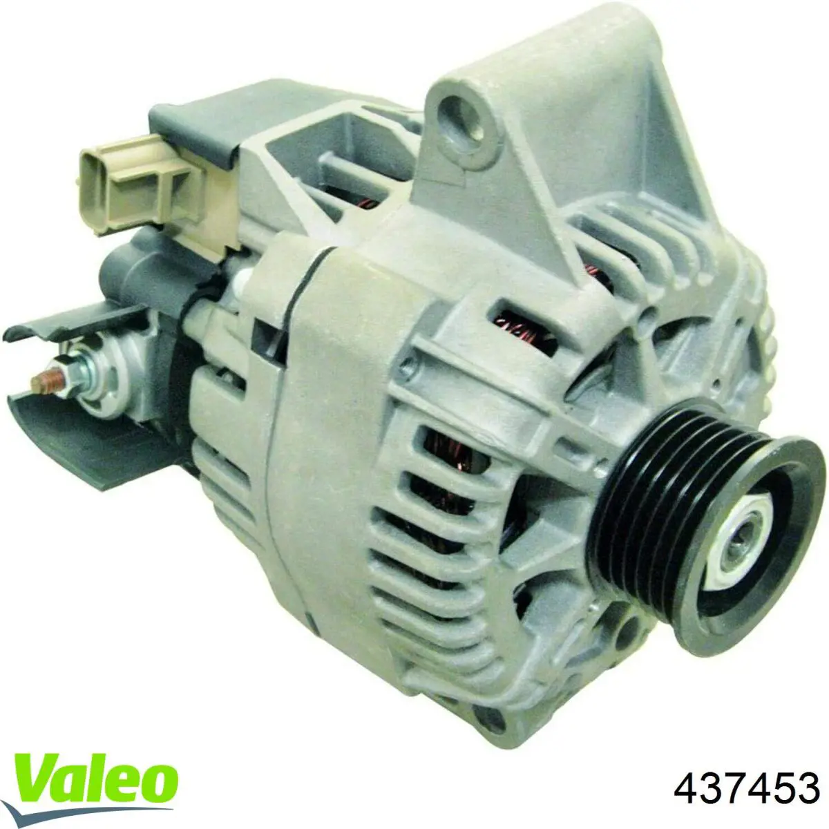 Comprar 5515160 Meat&Doria Dynamo