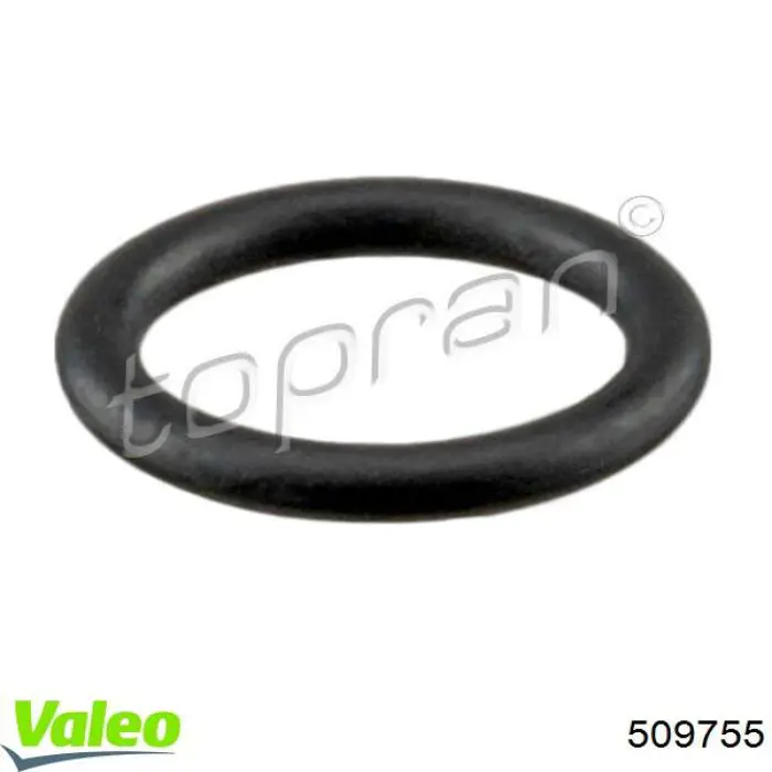 509755 VALEO