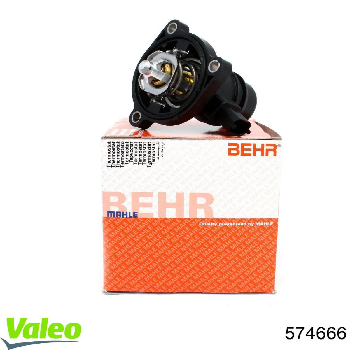 Limpiaparabrisas delanteras WBT901300 Open Parts