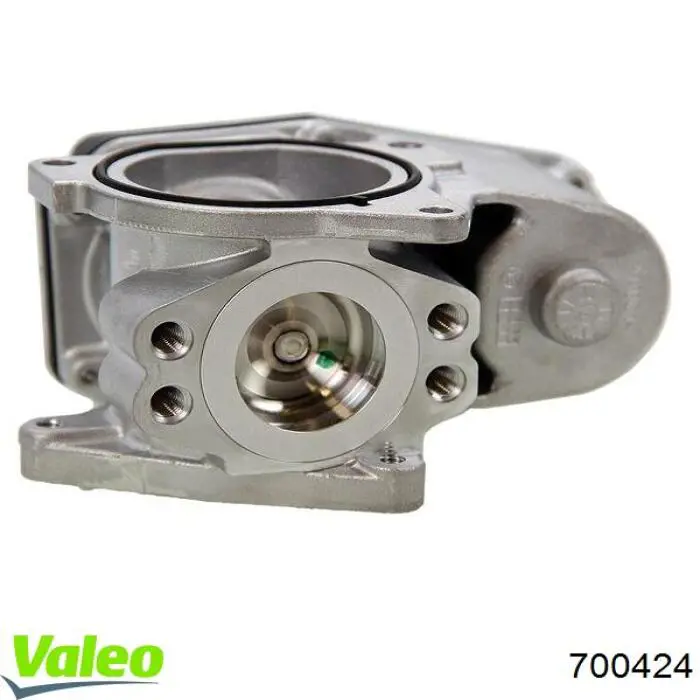 Válvula, AGR Audi Q5 8RB