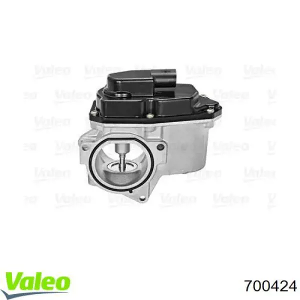 Válvula, AGR Audi Q5 8RB