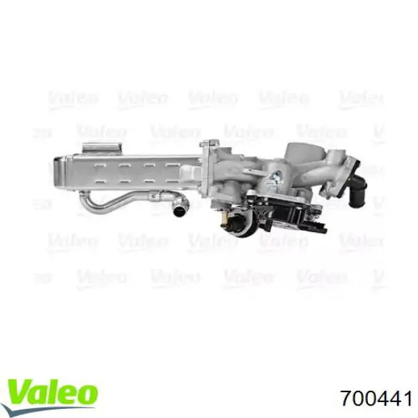 700441 VALEO