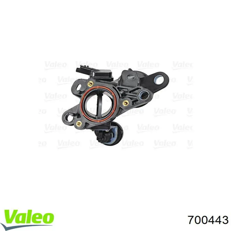 Cuerpo de aceleración completo VALEO 700443 precio, desde 238,65 EUR