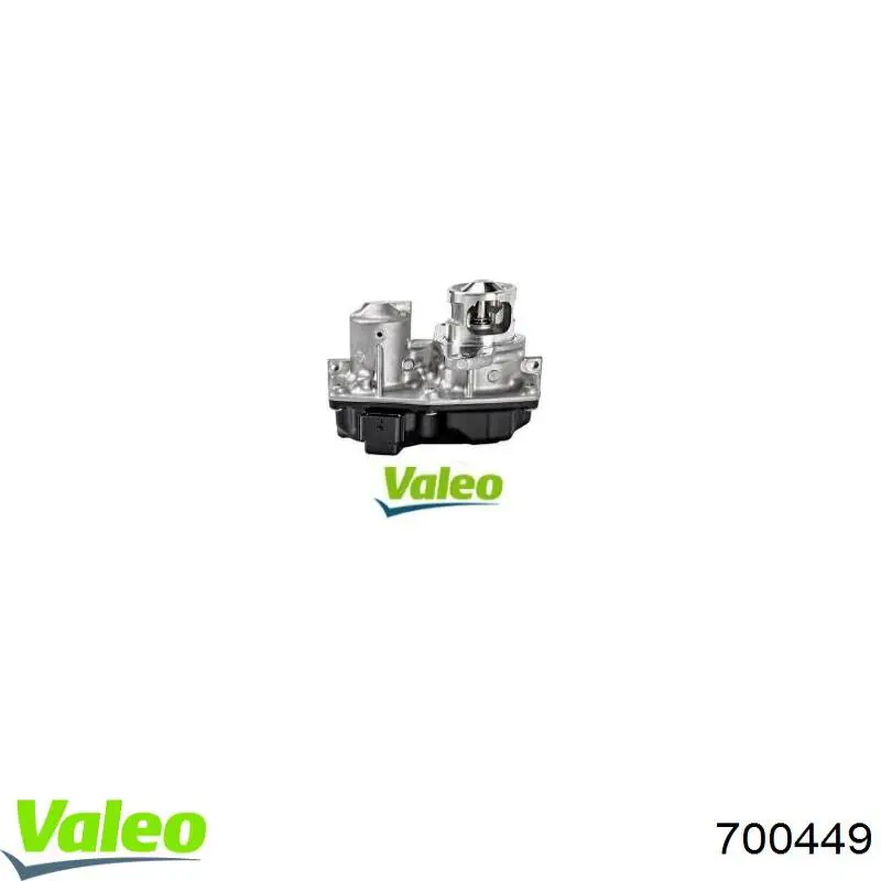 EGR VALEO 700449