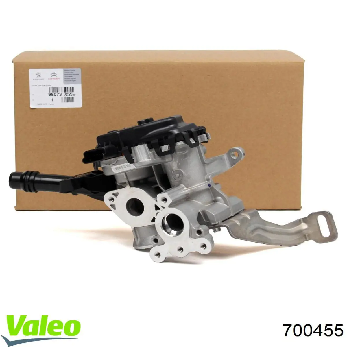 Comprar 700455 VALEO Válvula EGR