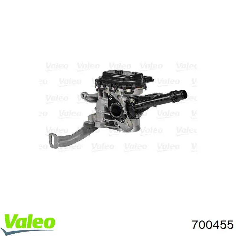 700455 VALEO Válvula EGR