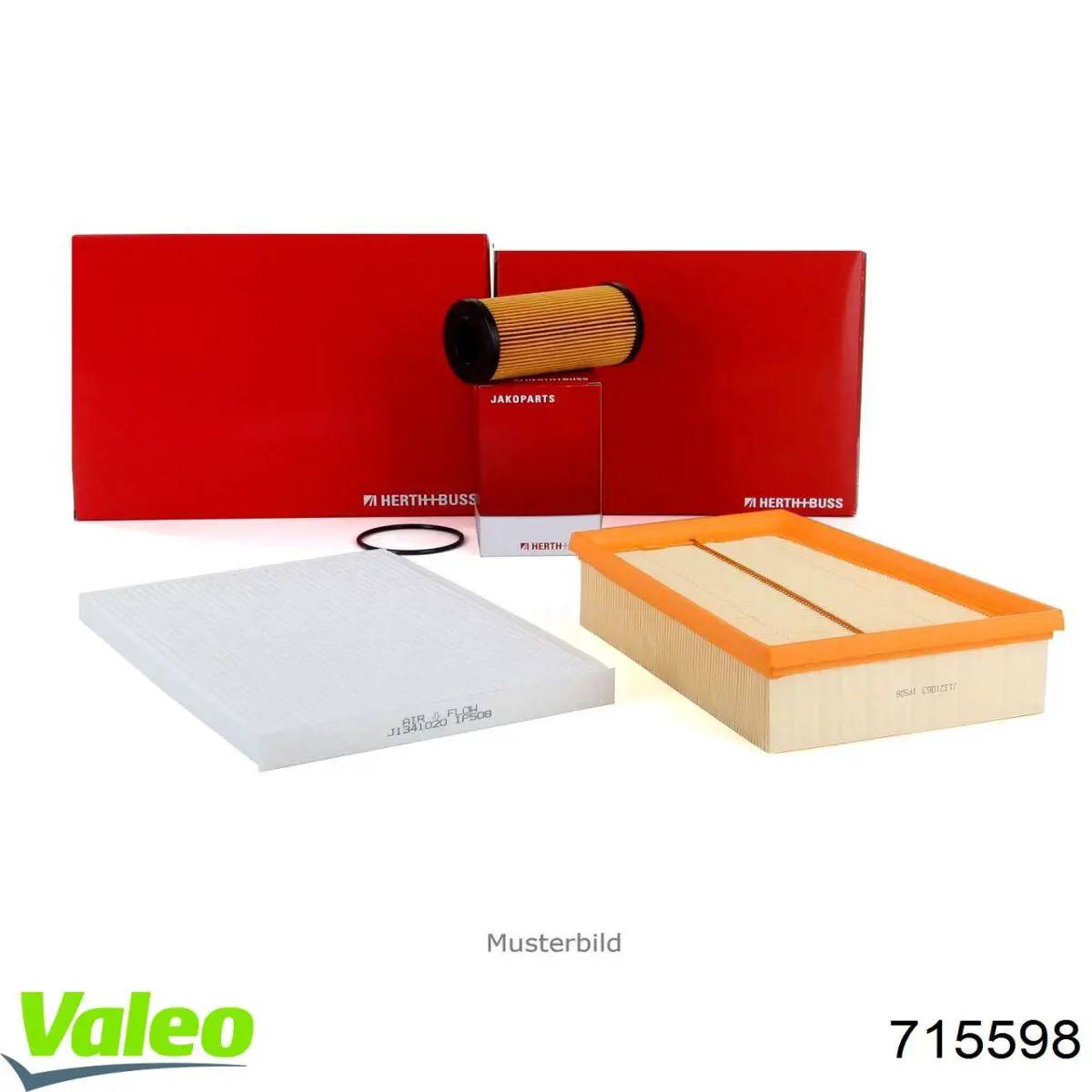 CF8719 Fram Filtro antipolen