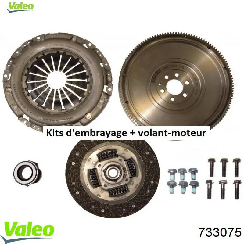 Água radiador VALEO 733075 precio, desde 40,98 EUR