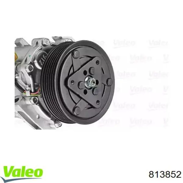 813852 VALEO