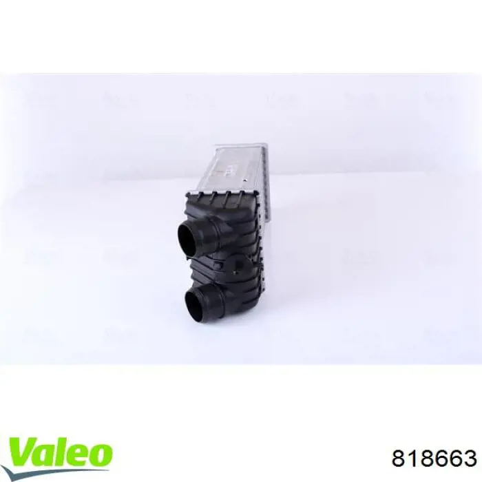 Comprar E256091 Peugeot/Citroen Turbo intercooler