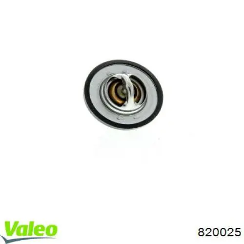 Termostato, refrigerante Renault Laguna 2 BG0, BG1