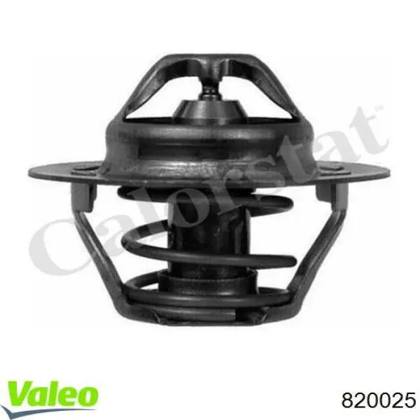 Termostato, refrigerante Renault Laguna 2 BG0, BG1