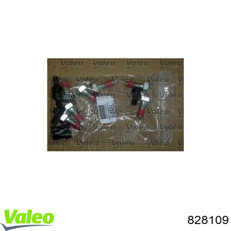 828109 VALEO kit de embrague (3 partes)