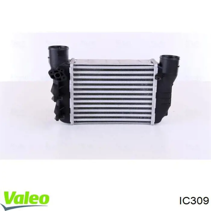 IC309 VALEO