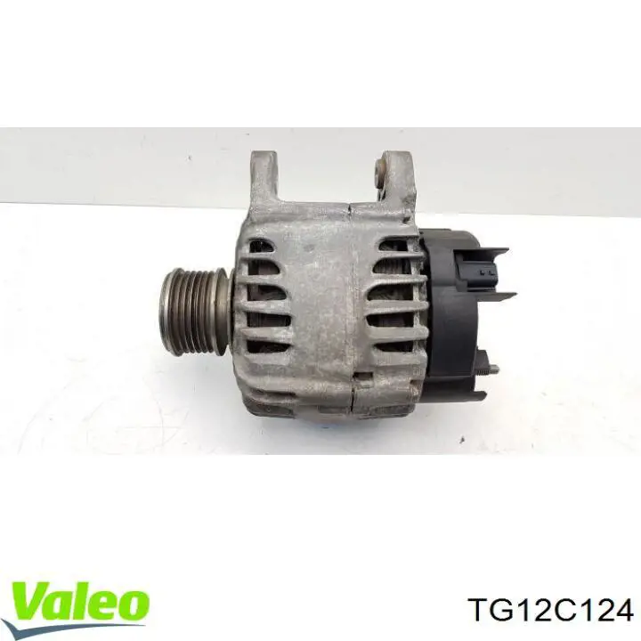 TG12C124 VALEO alternador