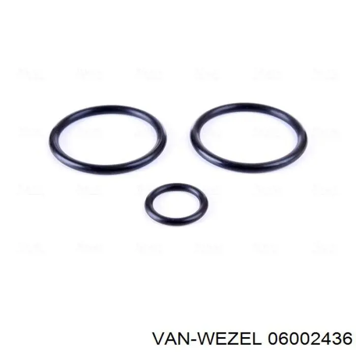 06002436 VAN Wezel radiador refrigeración del motor