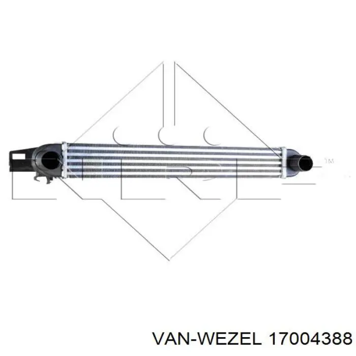 17004388 VAN Wezel radiador de aire de admisión