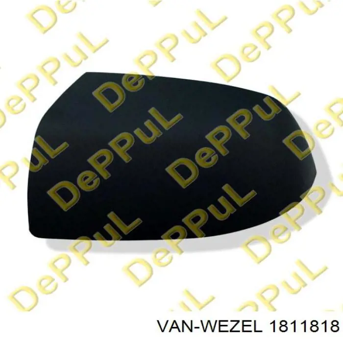 1811818 VAN Wezel espejo retrovisor derecho