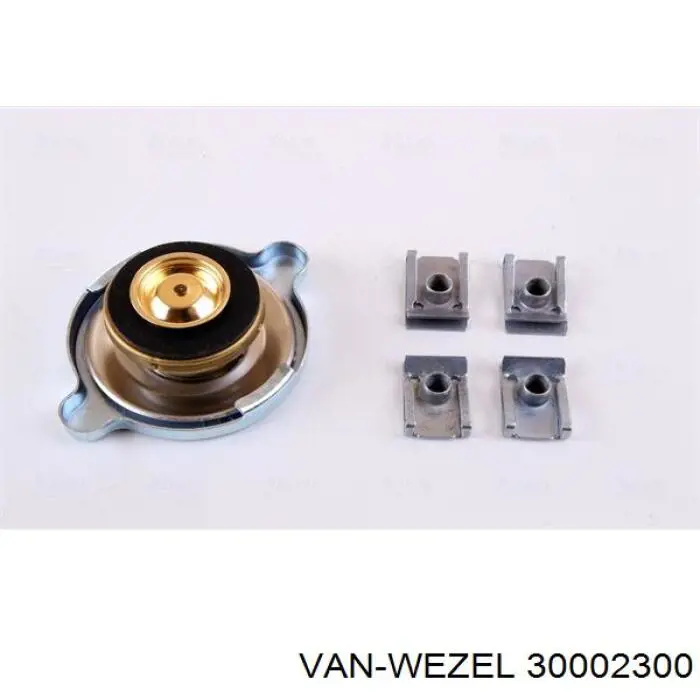 30002300 VAN Wezel radiador