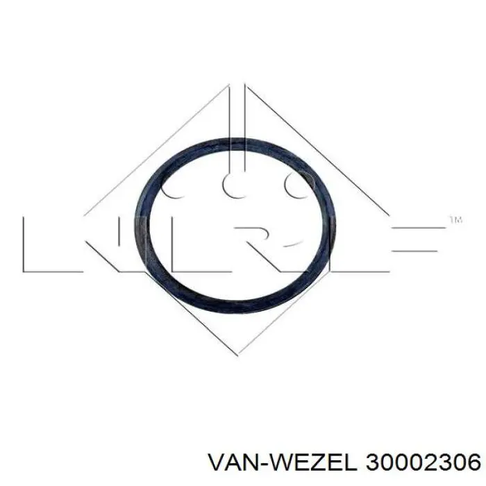 30002306 VAN Wezel radiador refrigeración del motor