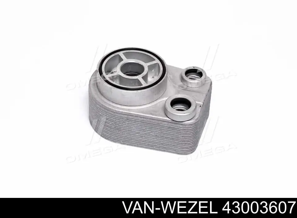 43003607 VAN Wezel radiador de aceite, bajo de filtro