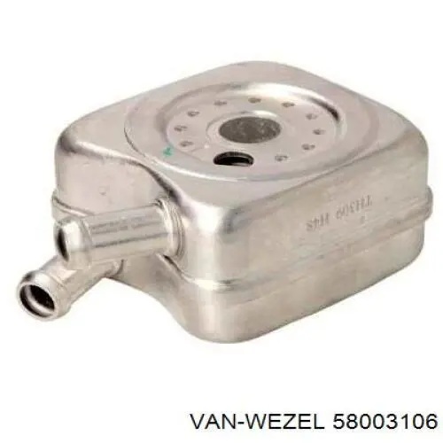 58003106 VAN Wezel radiador de aceite, bajo de filtro