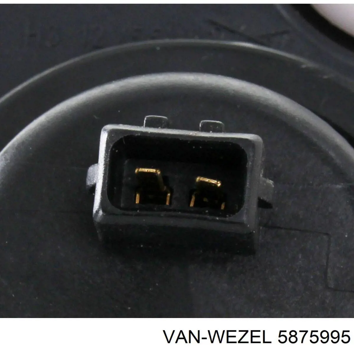 5875995 VAN Wezel faro antiniebla izquierdo