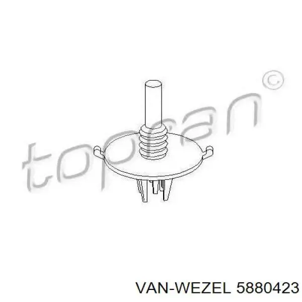 5880423 VAN Wezel moldura de la puerta delantera izquierda