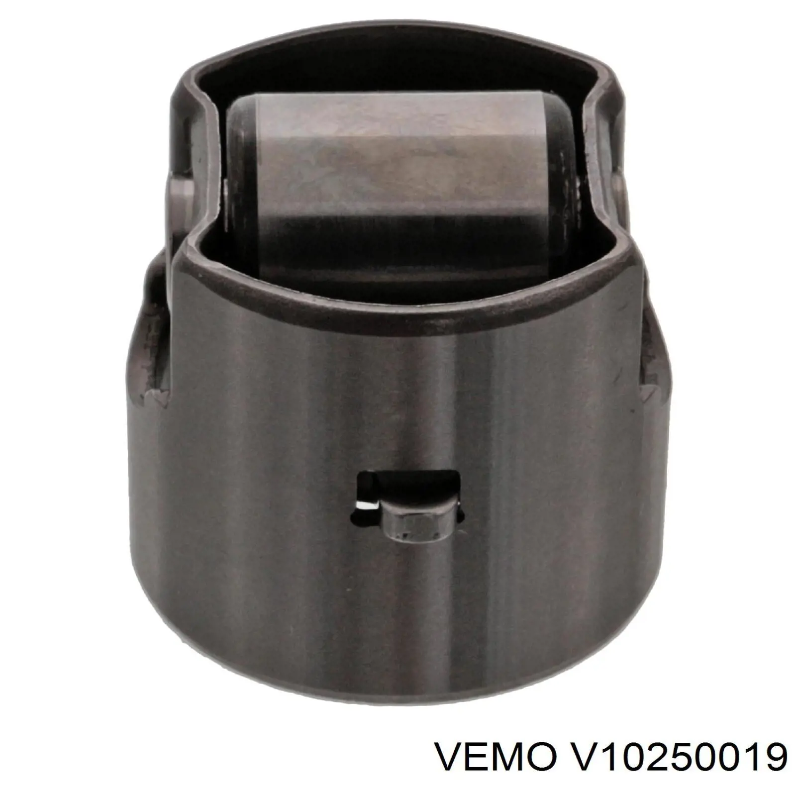 V10250019 Vemo émbolo, bomba de combustible