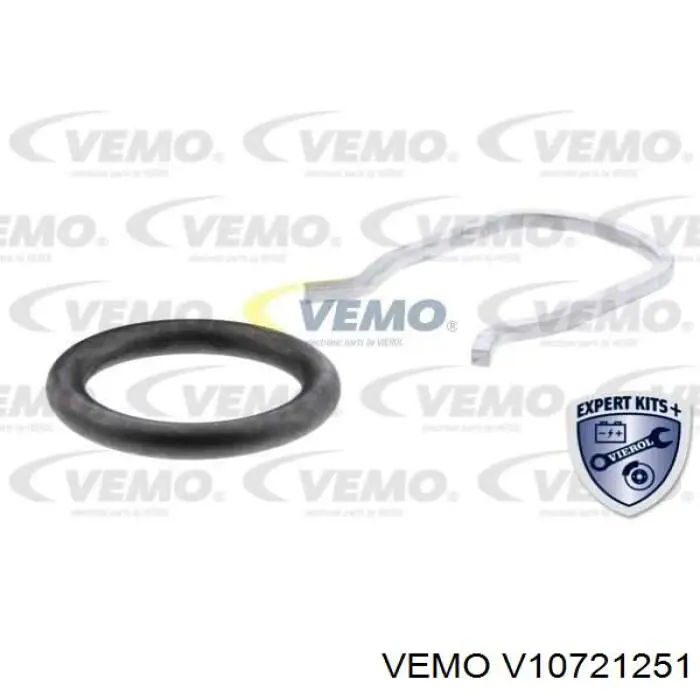 V10-72-1251 Vemo sensor, temperatura combustible